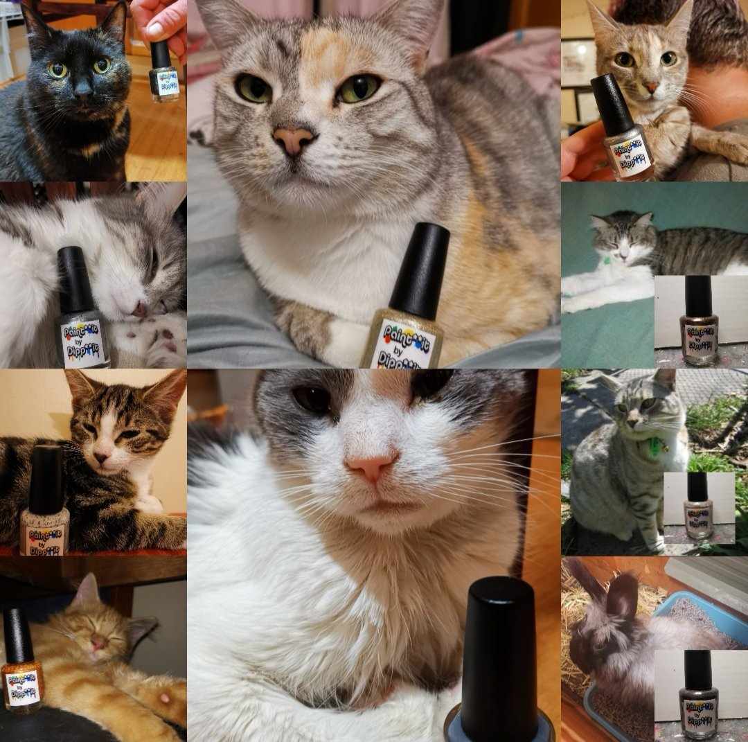 PIBDI Pets collection