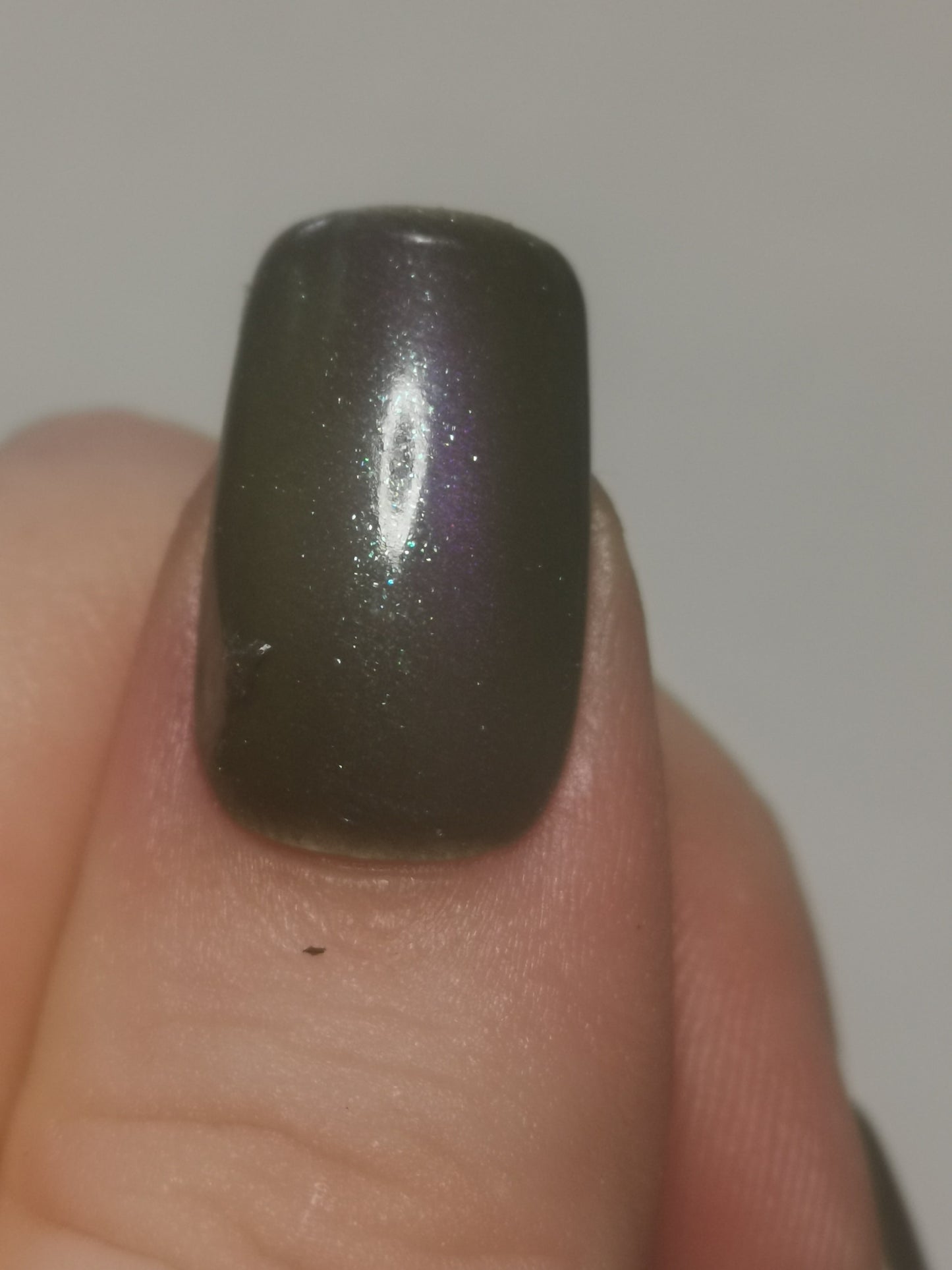 The Cat and the Fiddle