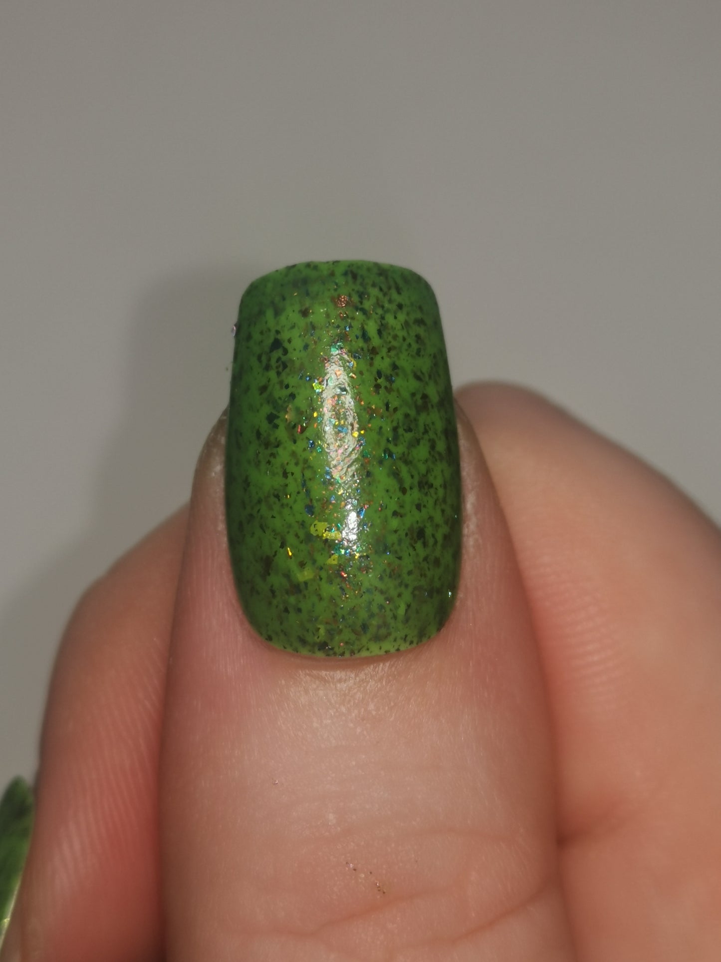 Rainbow Shadows