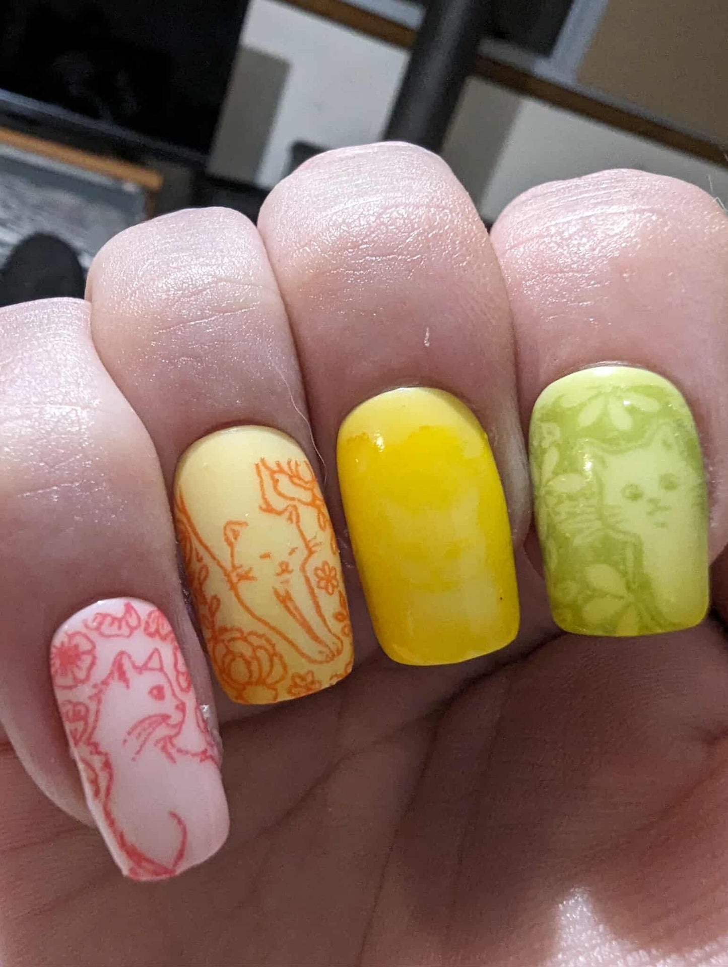 Basic Colour Fade bundle